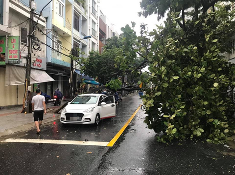 Đà Nẵng còn 8 tàu cá với 79 ngư dân trên biển, vẫn đang tìm kiếm 1 tàu mất tích - Ảnh 1. Đà Nẵng còn 8 tàu cá với 79 ngư dân trên biển, vẫn đang tìm kiếm 1 tàu mất tích - Ảnh 1.