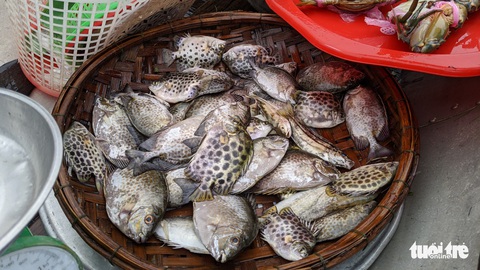 Lũ ngập ao nuôi, dân đẩy xuồng ra phố bán tháo cá tôm - Ảnh 5. Lũ ngập ao nuôi, dân đẩy xuồng ra phố bán tháo cá tôm - Ảnh 5.