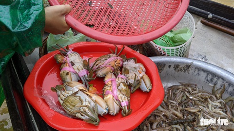 Lũ ngập ao nuôi, dân đẩy xuồng ra phố bán tháo cá tôm - Ảnh 6. Lũ ngập ao nuôi, dân đẩy xuồng ra phố bán tháo cá tôm - Ảnh 6.