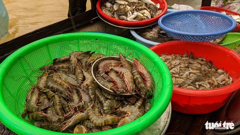 Lũ ngập ao nuôi, dân đẩy xuồng ra phố bán tháo cá tôm - Ảnh 8. Lũ ngập ao nuôi, dân đẩy xuồng ra phố bán tháo cá tôm - Ảnh 8.