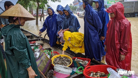 Lũ ngập ao nuôi, dân đẩy xuồng ra phố bán tháo cá tôm - Ảnh 9. Lũ ngập ao nuôi, dân đẩy xuồng ra phố bán tháo cá tôm - Ảnh 9.