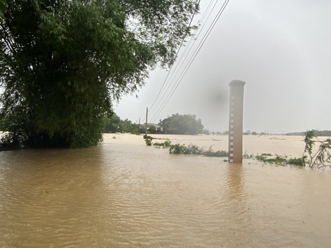 Quảng Nam: Lũ chưa rút, bão sắp vào, dân lo lắng - Ảnh 1. Quảng Nam: Lũ chưa rút, bão sắp vào, dân lo lắng - Ảnh 1.