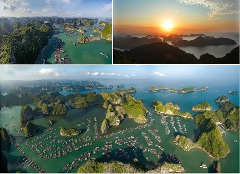 Flamingo Cat Ba Resorts, điểm đến hàng đầu cho kỳ nghỉ dưỡng ngắn ngày - Ảnh 1. Flamingo Cat Ba Resorts, điểm đến hàng đầu cho kỳ nghỉ dưỡng ngắn ngày - Ảnh 1.