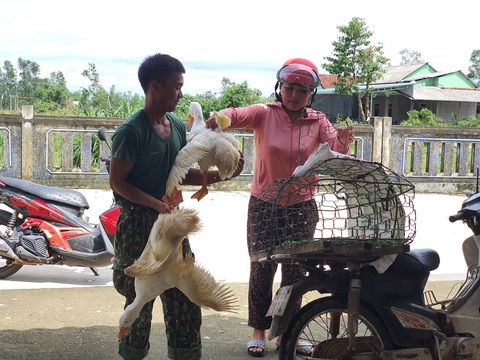 Người dân góp gạo, gà vịt nấu cơm cho lực lượng cứu hộ thủy điện Rào Trăng 3 - Ảnh 4. Người dân góp gạo, gà vịt nấu cơm cho lực lượng cứu hộ thủy điện Rào Trăng 3 - Ảnh 4.