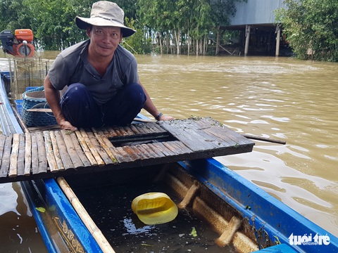 Lũ đầu nguồn ĐBSCL lên trở lại, mang theo nhiều cá tôm - Ảnh 3. Lũ đầu nguồn ĐBSCL lên trở lại, mang theo nhiều cá tôm - Ảnh 3.