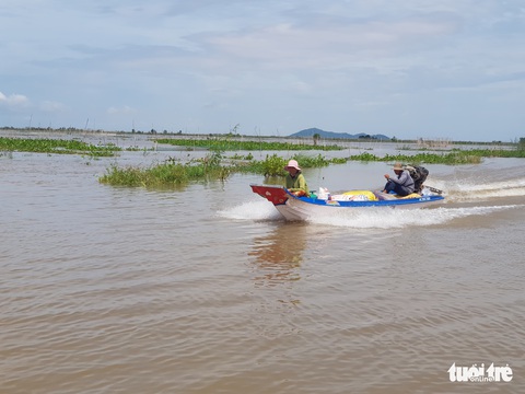 Lũ đầu nguồn ĐBSCL lên trở lại, mang theo nhiều cá tôm - Ảnh 10. Lũ đầu nguồn ĐBSCL lên trở lại, mang theo nhiều cá tôm - Ảnh 10.