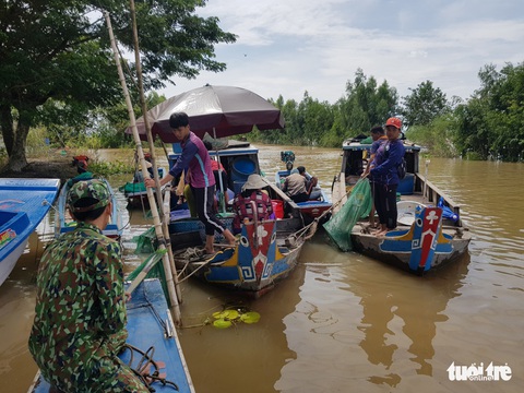 Lũ đầu nguồn ĐBSCL lên trở lại, mang theo nhiều cá tôm - Ảnh 1. Lũ đầu nguồn ĐBSCL lên trở lại, mang theo nhiều cá tôm - Ảnh 1.