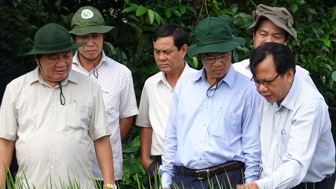 Bạc Liêu mở rộng mô hình con tôm ôm cây lúa ngon nhất thế giới - Ảnh 2. Bạc Liêu mở rộng mô hình con tôm ôm cây lúa ngon nhất thế giới - Ảnh 2.