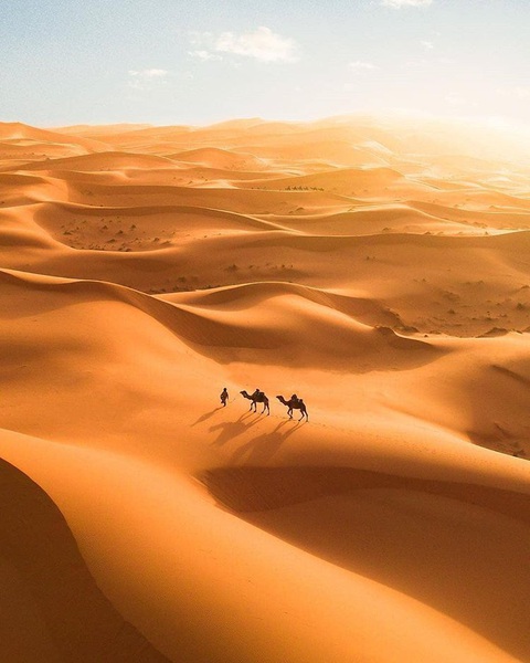 Kỳ lạ khi phát hiện có 1,8 tỉ cây xanh ở vùng đất chết Sahara - Ảnh 2. Kỳ lạ khi phát hiện có 1,8 tỉ cây xanh ở vùng đất chết Sahara - Ảnh 2.