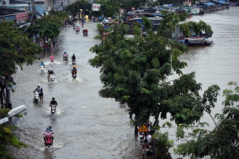 Triều cường TP.HCM đạt đỉnh 1,7m, mênh mông không biết đâu bờ đâu kênh - Ảnh 7. Triều cường TP.HCM đạt đỉnh 1,7m, mênh mông không biết đâu bờ đâu kênh - Ảnh 7.