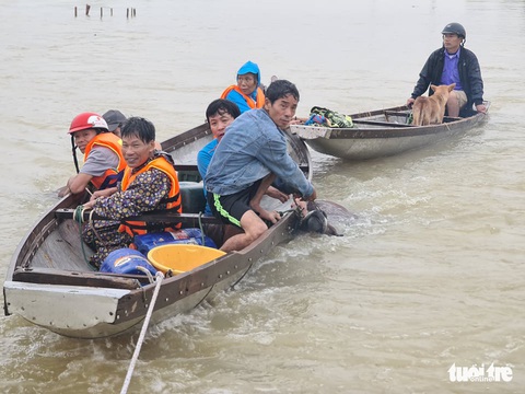 Nước lên nhanh có chỗ 3 mét, dân Quảng Bình tất tả chạy lũ - Ảnh 8. Nước lên nhanh có chỗ 3 mét, dân Quảng Bình tất tả chạy lũ - Ảnh 8.