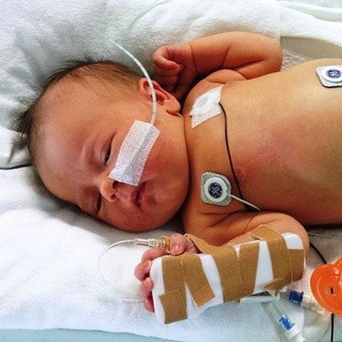 Phát hiện vi khuẩn mới có thể kết hợp virus gây bệnh não úng thủy - Ảnh 1. Phát hiện vi khuẩn mới có thể kết hợp virus gây bệnh não úng thủy - Ảnh 1.