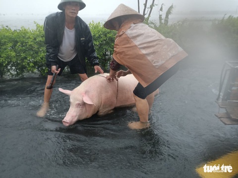 Dân làng tôi tất tả chạy cơn lũ lịch sử - Ảnh 5. Dân làng tôi tất tả chạy cơn lũ lịch sử - Ảnh 5.