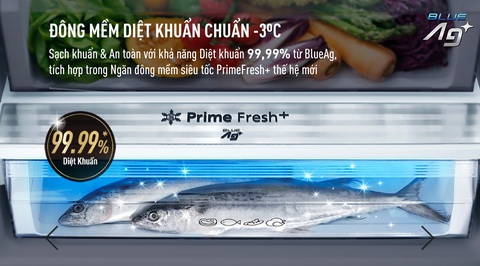 Đông mềm giữ được vị và chất của thực phẩm - Ảnh 3. Đông mềm giữ được vị và chất của thực phẩm - Ảnh 3.