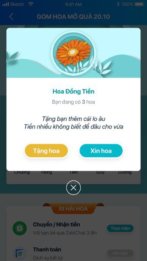 Hoa đồng tiền được săn lùng nhiều nhất mùa 20-10 - Ảnh 3. Hoa đồng tiền được săn lùng nhiều nhất mùa 20-10 - Ảnh 3.