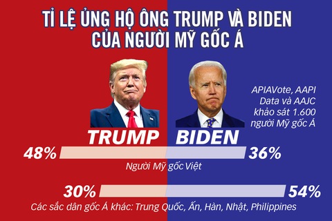 Cử tri Mỹ gốc Việt bỏ phiếu cho Trump hay Biden? - Ảnh 1. Cử tri Mỹ gốc Việt bỏ phiếu cho Trump hay Biden? - Ảnh 1.