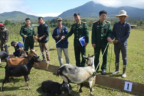 Đoàn kinh tế - quốc phòng 337: Dựng ngày mới giữa núi rừng Trường Sơn - Ảnh 2. Đoàn kinh tế - quốc phòng 337: Dựng ngày mới giữa núi rừng Trường Sơn - Ảnh 2.