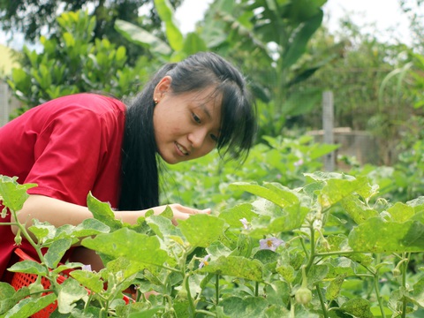 Bươn chải để đến giảng đường, nữ sinh suýt bị lừa khi đi xin việc - Ảnh 1. Bươn chải để đến giảng đường, nữ sinh suýt bị lừa khi đi xin việc - Ảnh 1.