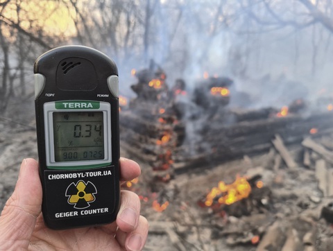 Lượng phóng xạ tại lò phản ứng hạt nhân Chernobyl gây hại cho loài ong - Ảnh 1. Lượng phóng xạ tại lò phản ứng hạt nhân Chernobyl gây hại cho loài ong - Ảnh 1.