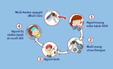 Không nên xem nhẹ dịch bệnh sốt xuất huyết và các bệnh do muỗi gây ra - Ảnh 1. Không nên xem nhẹ dịch bệnh sốt xuất huyết và các bệnh do muỗi gây ra - Ảnh 1.