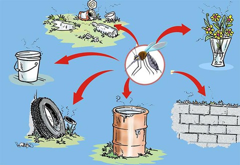 Không nên xem nhẹ dịch bệnh sốt xuất huyết và các bệnh do muỗi gây ra - Ảnh 4. Không nên xem nhẹ dịch bệnh sốt xuất huyết và các bệnh do muỗi gây ra - Ảnh 4.