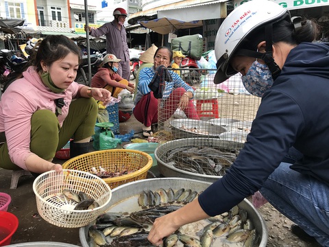 Đi chợ biên giới mùa nước nổi - Ảnh 3. Đi chợ biên giới mùa nước nổi - Ảnh 3.