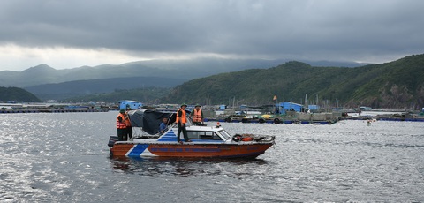 Hối hả chằng neo bè tránh bão vì cả ngàn tỉ đồng đang dưới nước - Ảnh 6. Hối hả chằng neo bè tránh bão vì cả ngàn tỉ đồng đang dưới nước - Ảnh 6.