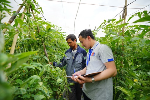 MM Mega Market đứng thứ 3 trong Top 10 Công ty bán lẻ uy tín - Ảnh 2. MM Mega Market đứng thứ 3 trong Top 10 Công ty bán lẻ uy tín - Ảnh 2.