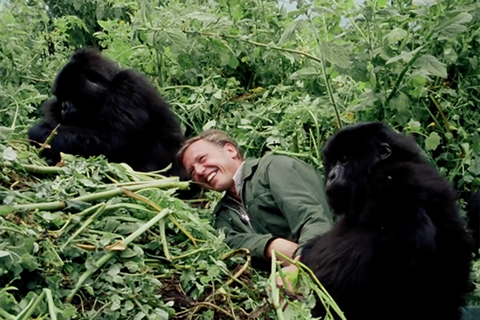 David Attenborough: A Life on Our Planet - Chăm lo cho thiên nhiên trước khi quá muộn - Ảnh 5. David Attenborough: A Life on Our Planet - Chăm lo cho thiên nhiên trước khi quá muộn - Ảnh 5.