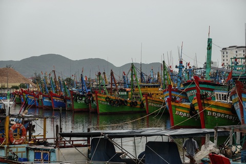 Hai tàu cá Bình Định chìm trên đường tránh trú bão, 26 ngư dân mất tích - Ảnh 1. Hai tàu cá Bình Định chìm trên đường tránh trú bão, 26 ngư dân mất tích - Ảnh 1.