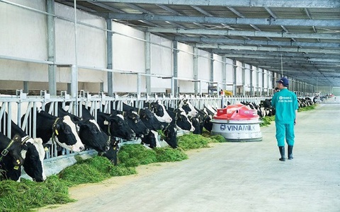 Vinamilk liên tiếp được bình chọn là nơi làm việc tốt nhất Việt Nam - Ảnh 5. Vinamilk liên tiếp được bình chọn là nơi làm việc tốt nhất Việt Nam - Ảnh 5.