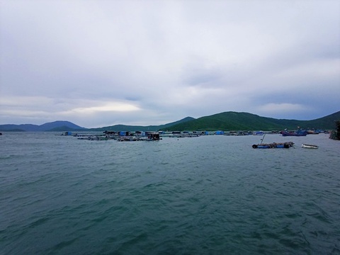 Thông tin người dân bị kẹt tại bè nuôi trồng thủy sản ở Đầm Môn sai sự thật - Ảnh 2. Thông tin người dân bị kẹt tại bè nuôi trồng thủy sản ở Đầm Môn sai sự thật - Ảnh 2.