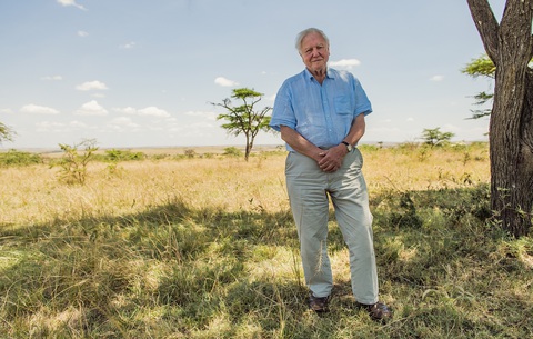 David Attenborough: A Life on Our Planet - Chăm lo cho thiên nhiên trước khi quá muộn - Ảnh 6. David Attenborough: A Life on Our Planet - Chăm lo cho thiên nhiên trước khi quá muộn - Ảnh 6.