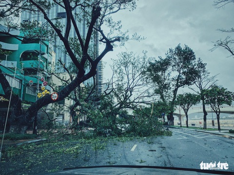 Chùm ảnh bão số 9 và hoàn lưu bão quần thảo ở Đà Nẵng - Ảnh 2. Chùm ảnh bão số 9 và hoàn lưu bão quần thảo ở Đà Nẵng - Ảnh 2.