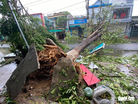 Bão vô Quảng Ngãi: Cổng chào bằng thép, cây xanh ngã đổ - Ảnh 3. Bão vô Quảng Ngãi: Cổng chào bằng thép, cây xanh ngã đổ - Ảnh 3.