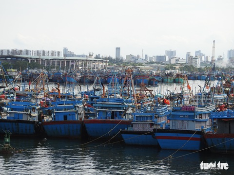 2 tàu chìm, 46 tàu Bình Định đang vào bờ, cấp bão không giảm - Ảnh 2. 2 tàu chìm, 46 tàu Bình Định đang vào bờ, cấp bão không giảm - Ảnh 2.