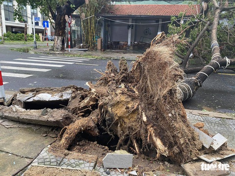 Chùm ảnh bão số 9 và hoàn lưu bão quần thảo ở Đà Nẵng - Ảnh 10. Chùm ảnh bão số 9 và hoàn lưu bão quần thảo ở Đà Nẵng - Ảnh 10.