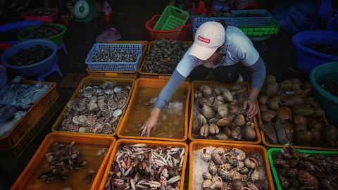 Hồ Tràm: những trải nghiệm khó quên - Ảnh 4. Hồ Tràm: những trải nghiệm khó quên - Ảnh 4.