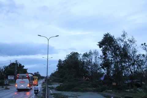 Sau bão, quốc lộ 1 qua Quảng Nam ngổn ngang cây cối - Ảnh 4. Sau bão, quốc lộ 1 qua Quảng Nam ngổn ngang cây cối - Ảnh 4.