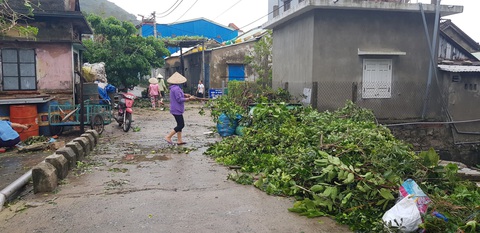 Đảo Cù Lao Chàm như bị xé vụn sau bão số 9 - Ảnh 9. Đảo Cù Lao Chàm như bị xé vụn sau bão số 9 - Ảnh 9.