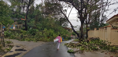 Đảo Cù Lao Chàm như bị xé vụn sau bão số 9 - Ảnh 7. Đảo Cù Lao Chàm như bị xé vụn sau bão số 9 - Ảnh 7.