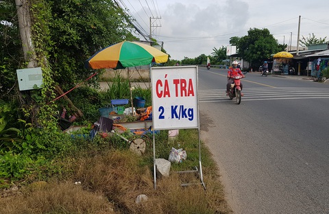 Cá tra đổ đống bán bên lề đường, người nuôi đổ nợ - Ảnh 3. Cá tra đổ đống bán bên lề đường, người nuôi đổ nợ - Ảnh 3.