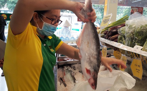 Cá tra đổ đống bán bên lề đường, người nuôi đổ nợ - Ảnh 2. Cá tra đổ đống bán bên lề đường, người nuôi đổ nợ - Ảnh 2.