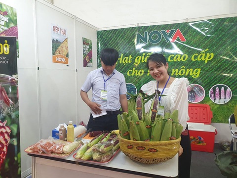 Dược liệu rõ nguồn gốc được ưa chuộng tại hội chợ nông sản - Ảnh 3. Dược liệu rõ nguồn gốc được ưa chuộng tại hội chợ nông sản - Ảnh 3.