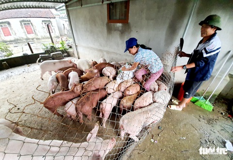 Về nhà sau đêm trắng chạy lũ: ‘Cả năm vất vả, giờ chẳng còn gì - Ảnh 9. Về nhà sau đêm trắng chạy lũ: ‘Cả năm vất vả, giờ chẳng còn gì - Ảnh 9.