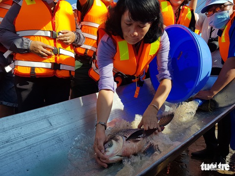 An Giang thả trên 18 tấn cá về sông để tái tạo nguồn lợi thủy sản - Ảnh 1. An Giang thả trên 18 tấn cá về sông để tái tạo nguồn lợi thủy sản - Ảnh 1.