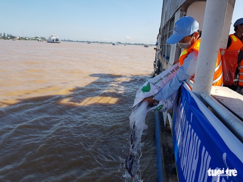 An Giang thả trên 18 tấn cá về sông để tái tạo nguồn lợi thủy sản - Ảnh 5. An Giang thả trên 18 tấn cá về sông để tái tạo nguồn lợi thủy sản - Ảnh 5.