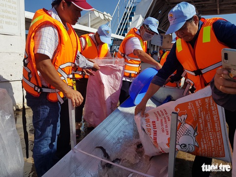 An Giang thả trên 18 tấn cá về sông để tái tạo nguồn lợi thủy sản - Ảnh 6. An Giang thả trên 18 tấn cá về sông để tái tạo nguồn lợi thủy sản - Ảnh 6.