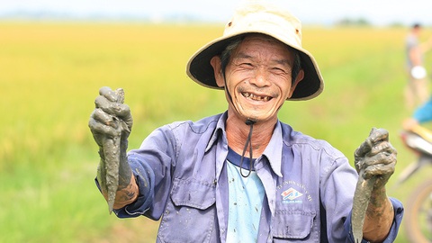 Buộc đất lửa phải nảy mầm xanh - Ảnh 1. Buộc đất lửa phải nảy mầm xanh - Ảnh 1.