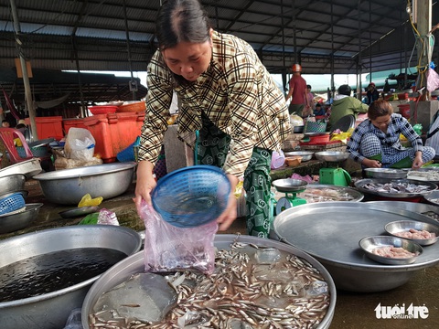 Đặc sản mùa lũ giảm giá và nước bắt đầu rút - Ảnh 1. Đặc sản mùa lũ giảm giá và nước bắt đầu rút - Ảnh 1.